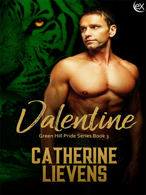 cover image of Valentine